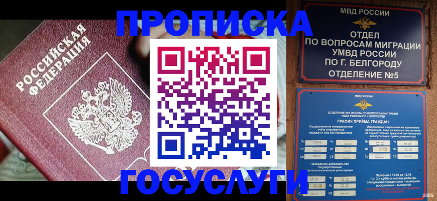 прописка гарантия в Рубцовске